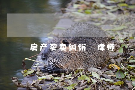 房产买卖纠纷 律师 房产买卖纠纷 律师